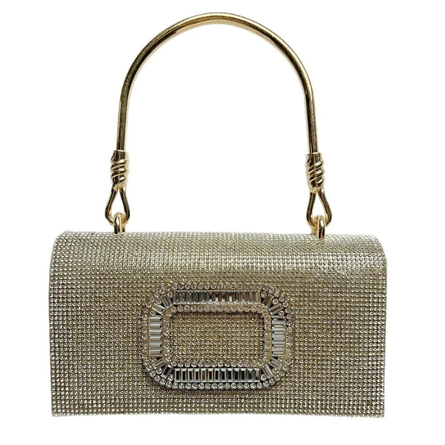 Fashionable Luxury Clutch Bag