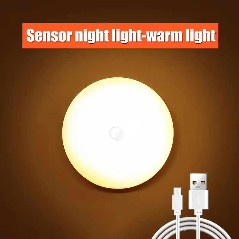 Warm LED garden light with sensor for outdoor lighting