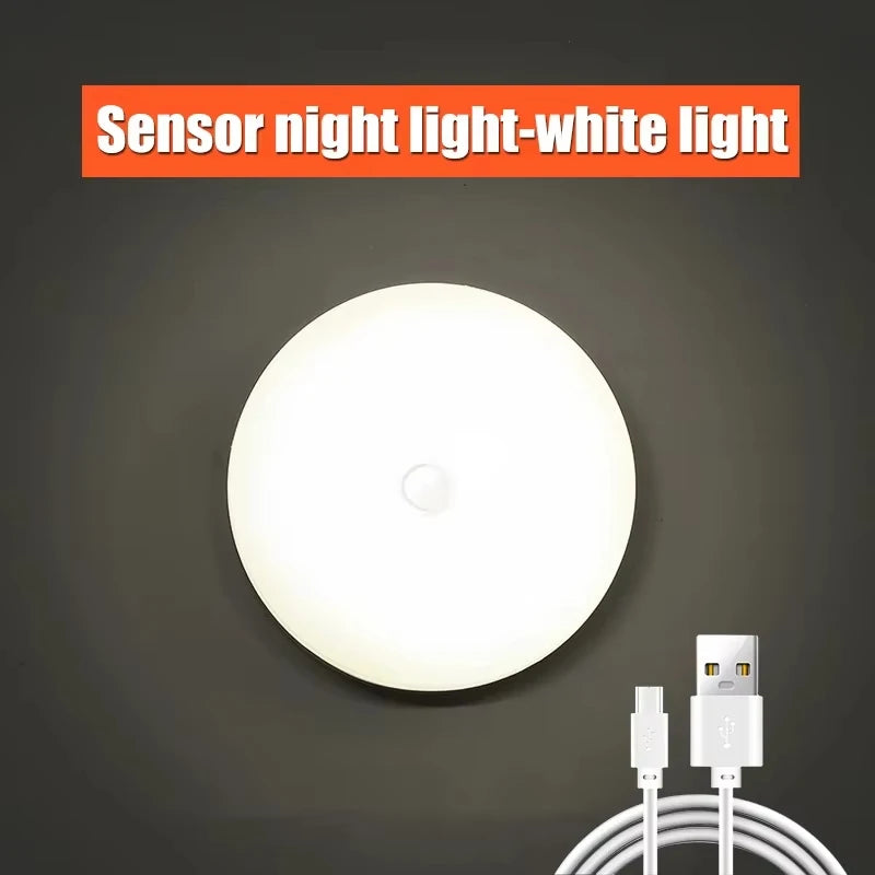 LED garden light white sensor design for outdoor use