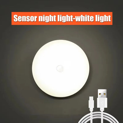 LED garden light white sensor design for outdoor use